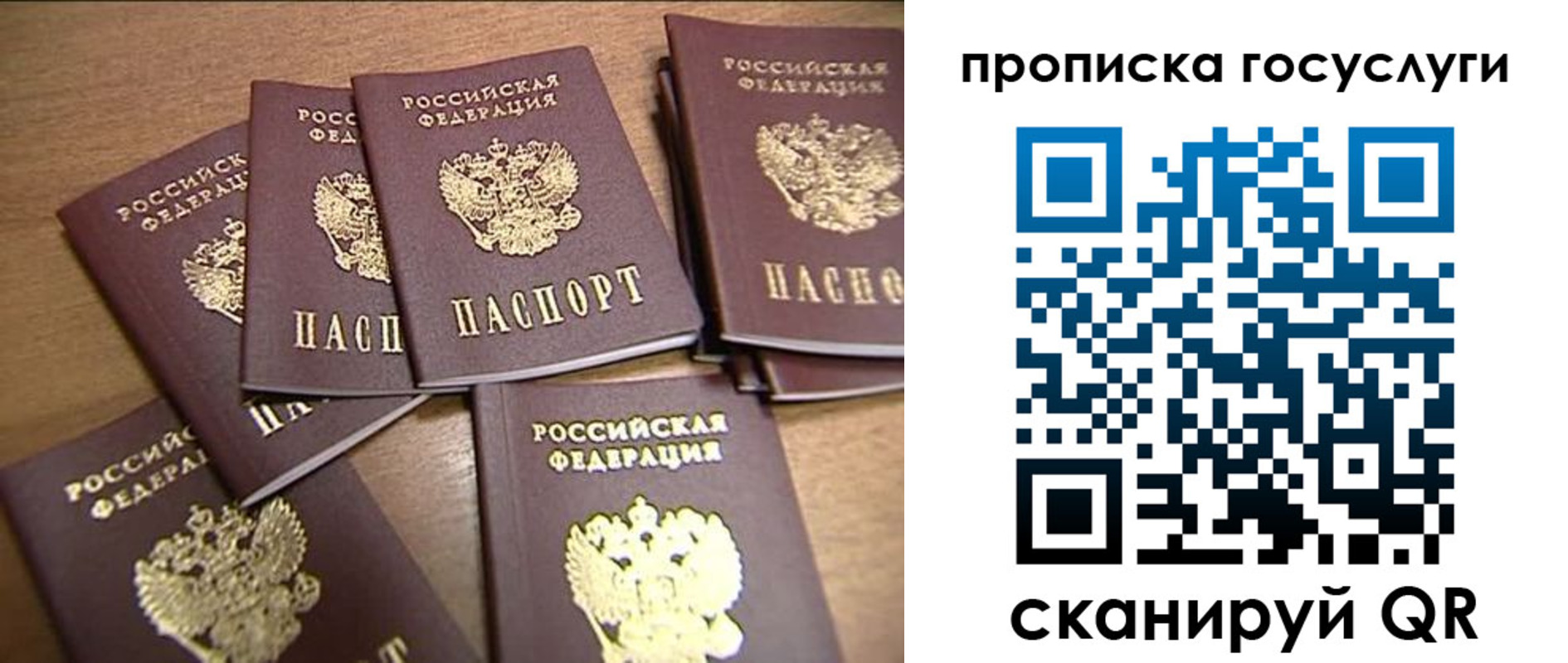 прописка для работы в Светлогорске
